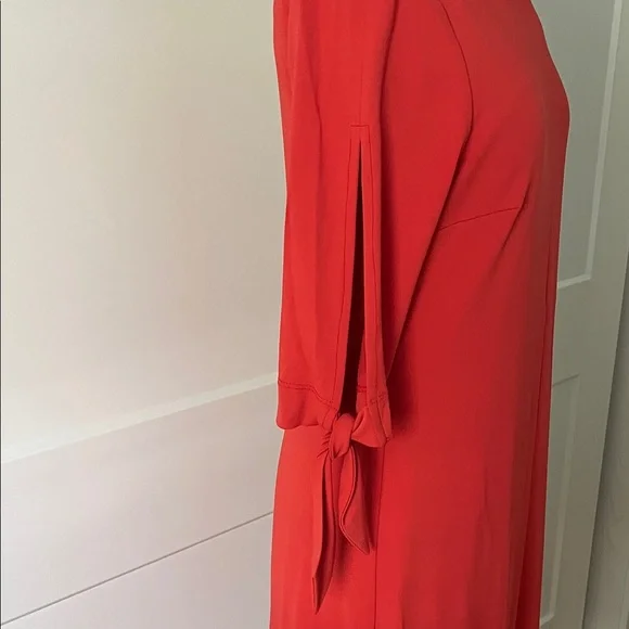 I by Iris Setlakwe Elegant Dress - Picture 2 of 15